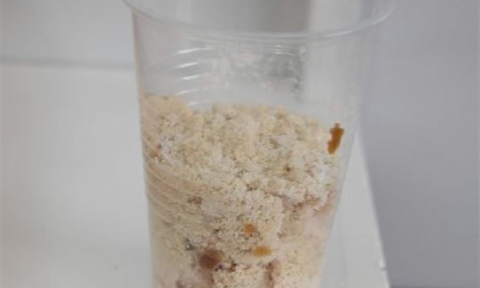 2019-5-7-1337Výroba pervitinu 4.5.2019-2.jpg